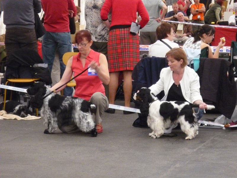 narodka boleslav 012.jpg